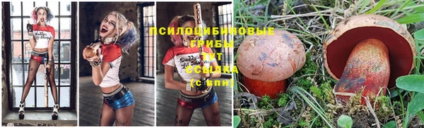прущая мука Нефтекумск